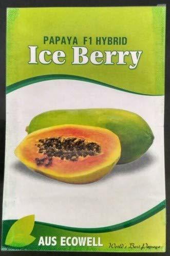 Ice Berry Hybrid Papaya Seeds With Ausecowell