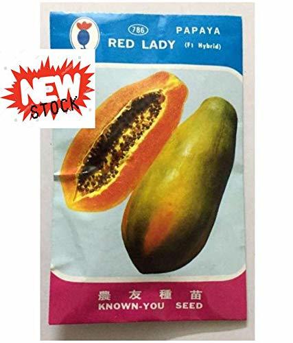 Red Lady Papaya 786 Hybrid Seeds