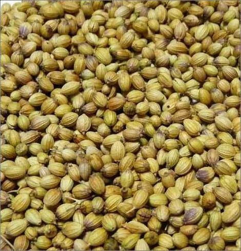 Yellow No Preservatives Coriander Seeds