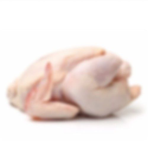Nutrition Rich Whole Frozen Chicken for Cooking