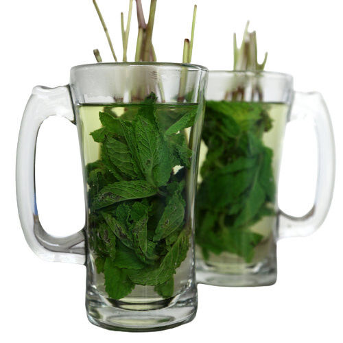 100% Natural Nourishing And Healthy Blend Mint Tea