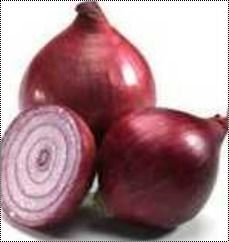 Fresh Red Raw Onions