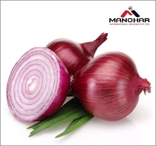 Indian Fresh Red Big Onion