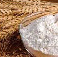 Best Price Wheat Flour