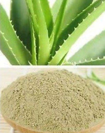 aloe vera powder