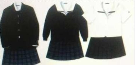 Pure Cotton School Uniform Age Group: 4 To 15