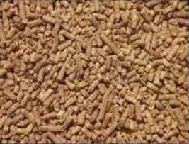 Cattle Feed, Animal Feed