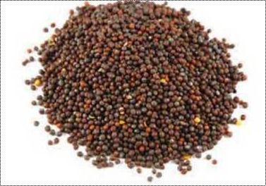 Red Impurities Free Mustard Seeds