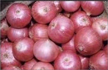 Fresh Organic Red Onion