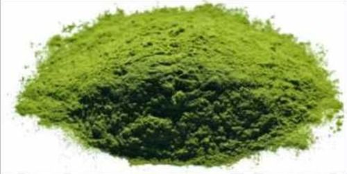 Pure Organic Wheatgrass Powder Ingredients: Herbal Extract