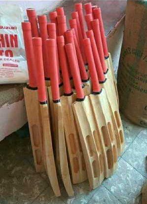 cricket bats