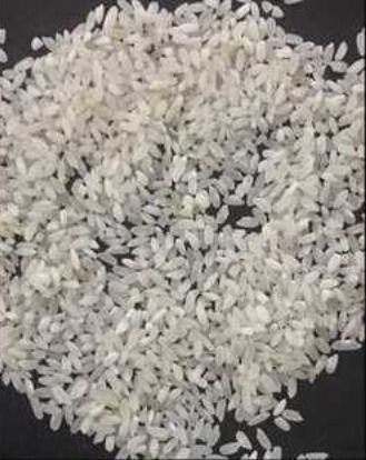 Common Medium Grain White Rice