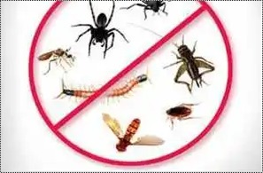 Pest Control Service Provider By NEW LAXMI PEST CONTROL SERVICES
