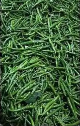 Fresh Organic Green Chillies 