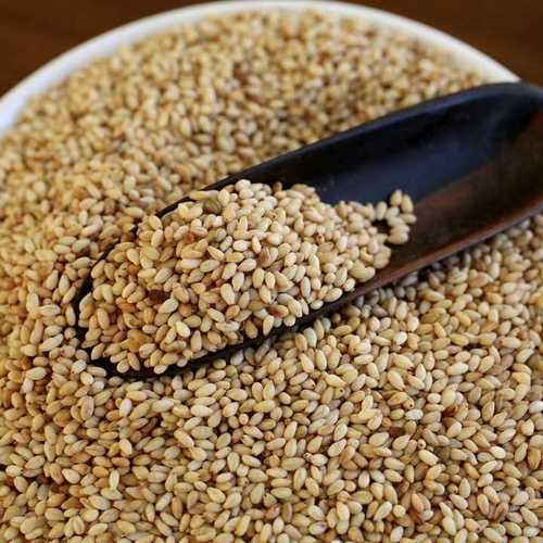 Common Natural Hulled Sesame Seed