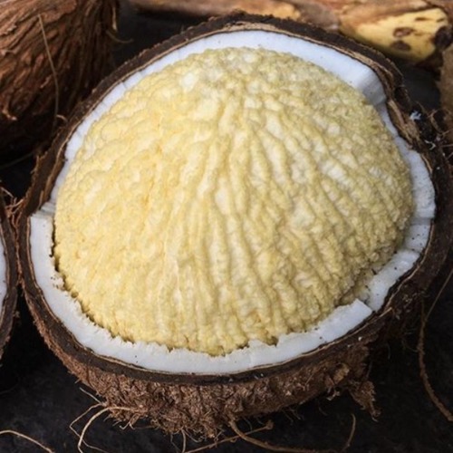 Sprouted Coconut - Soft Sweet Coconut White Color Round Shape | Boosts Energy Tastes Like Cotton Candy Various Health Benefits