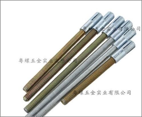 Round Fine Finished Long Expansion Screw