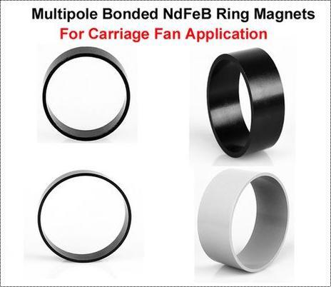Multipole Neodymium Super Ring Magnet – Arbor Scientific