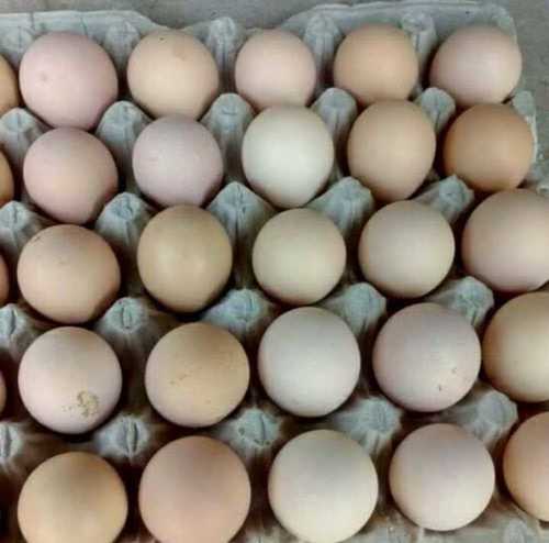 Fresh And Healthy Brown Eggs Egg Size: Various