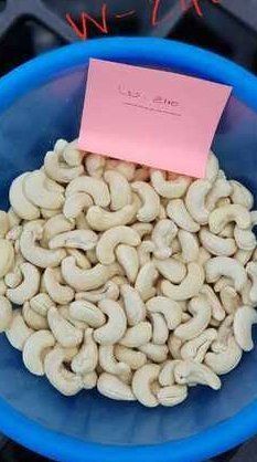 White W240, W320 Cashew Nuts