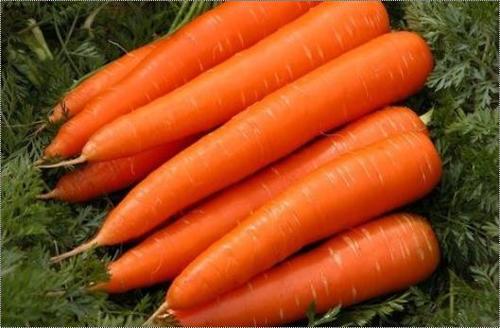 Viet Nam Frozen Carrot Shelf Life: 24 Months
