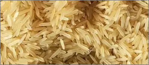 1121 Galaxy First Gold Sella Rice 