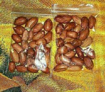 Export Quality Bold Peanuts