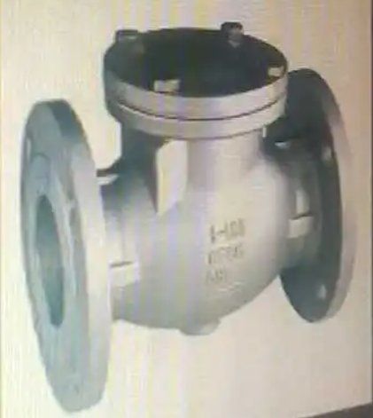 Mild Steel Check Valves