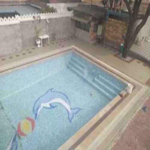 Rectangular Shape Swimming Pool - Color: Any