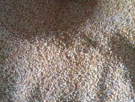 Moisture Resistance Cattle Feed