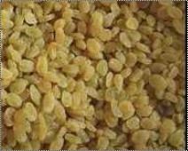 Dried Natural Organic Kismis Grade: Premium