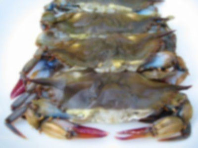 Frozen Crab For Restaurant Shelf Life: 6 Days