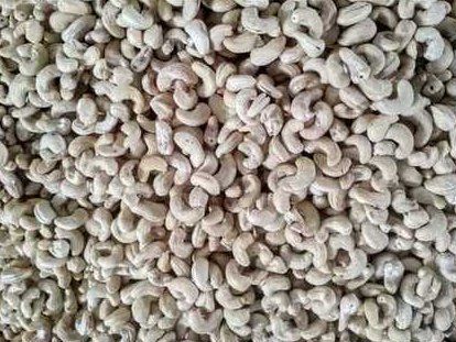 Dry Raw Cashew Nuts