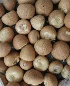 Dry Whole Betel Nut