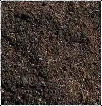 Potting Soil