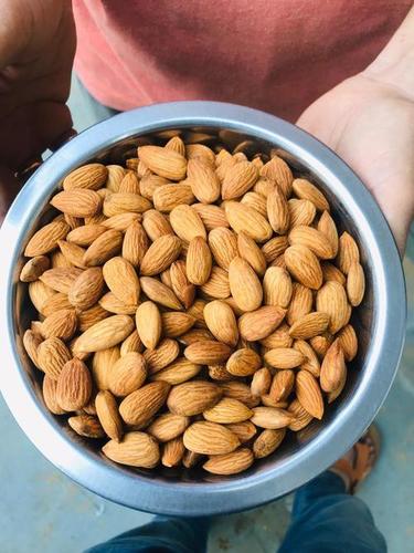 Brown Natural Almond With Rich Protein