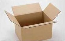 Brown Plain Carton Box For Packing