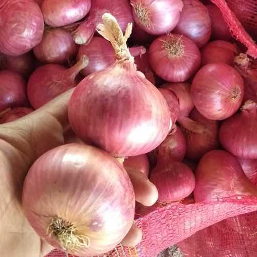 Natural Fresh Red Onion