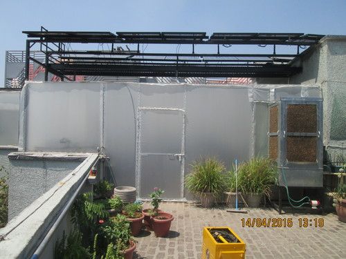 Multicolor Modular Roof Top Polyhouse