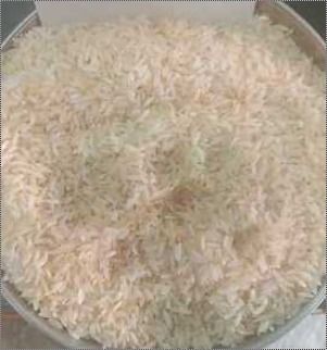  सफेद सोना मसूरी चावल 