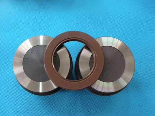 Rubber Oil Seal Mold Hardness: 50-55