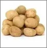 Round High Grade Fresh Potato