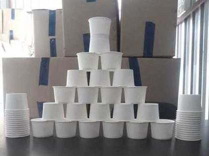 Disposable Plain Paper Cup