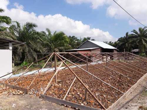 Brown And White Indonesia Dry Coconut Copra