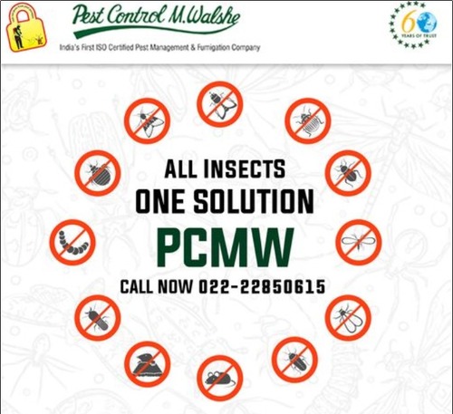 Crawling Insects Control Service By Pest Control M. Walshe