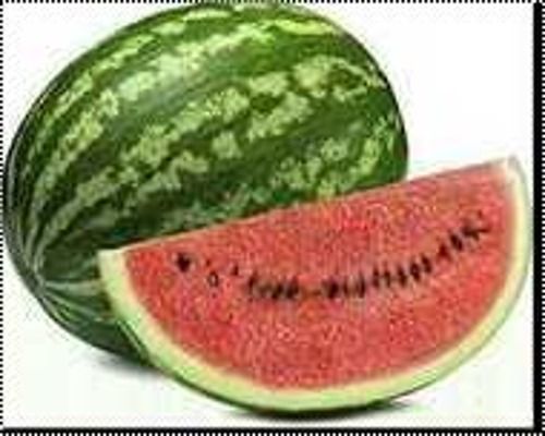 Fresh Juicy Natural Watermelon