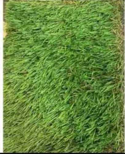 Durable Plain Green Color Artificial Grass