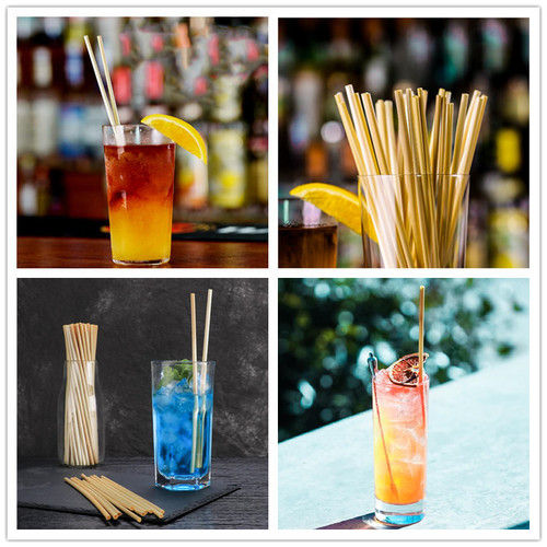 Sustainable Environmentally Friendly Straws