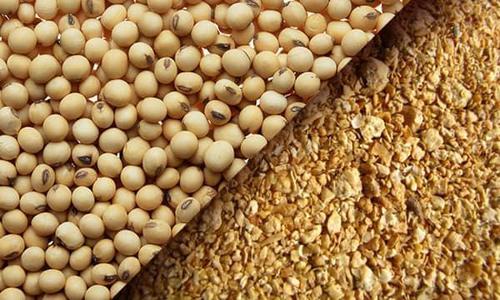 Brown Soybean Meal For Animal Feed Form