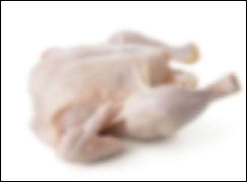 Halal and Non-Halal Grade a Brazil Chicken